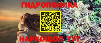 СК Конаково
