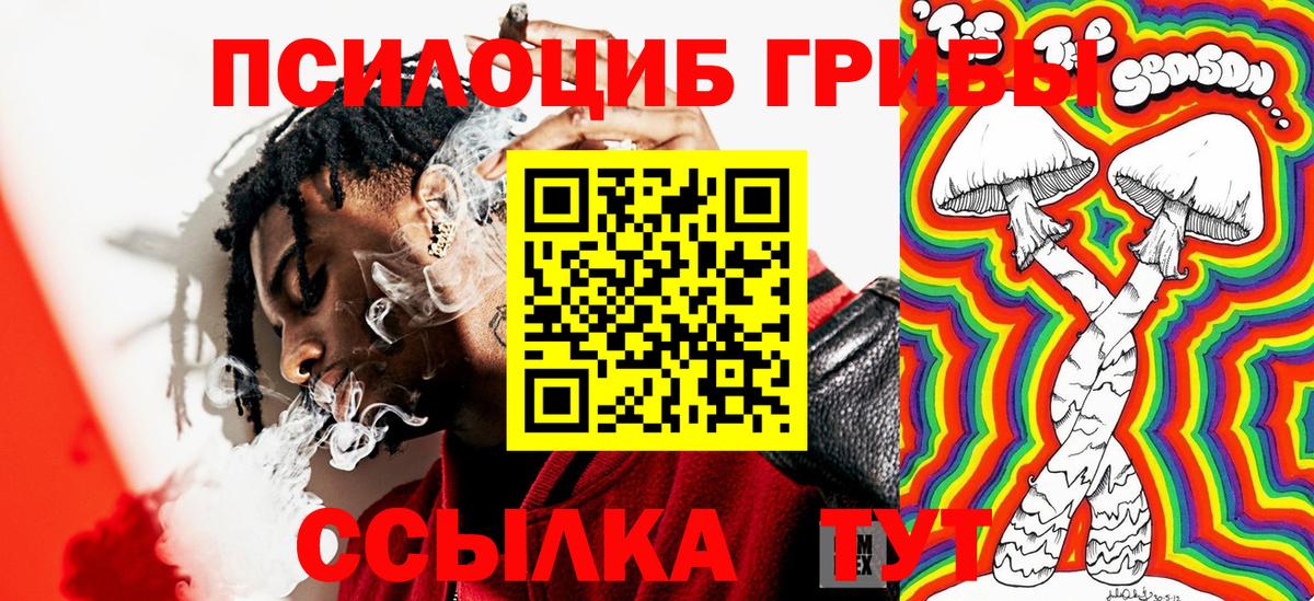 купить наркотики сайты  Галлюциногенные грибы Magic Shrooms  Псилоцибиновые грибы GOLDEN TEACHER  Вход с VPN  Копейск 