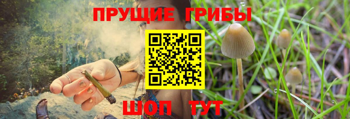Псилоцибиновые грибы MAGIC MUSHROOMS Копейск